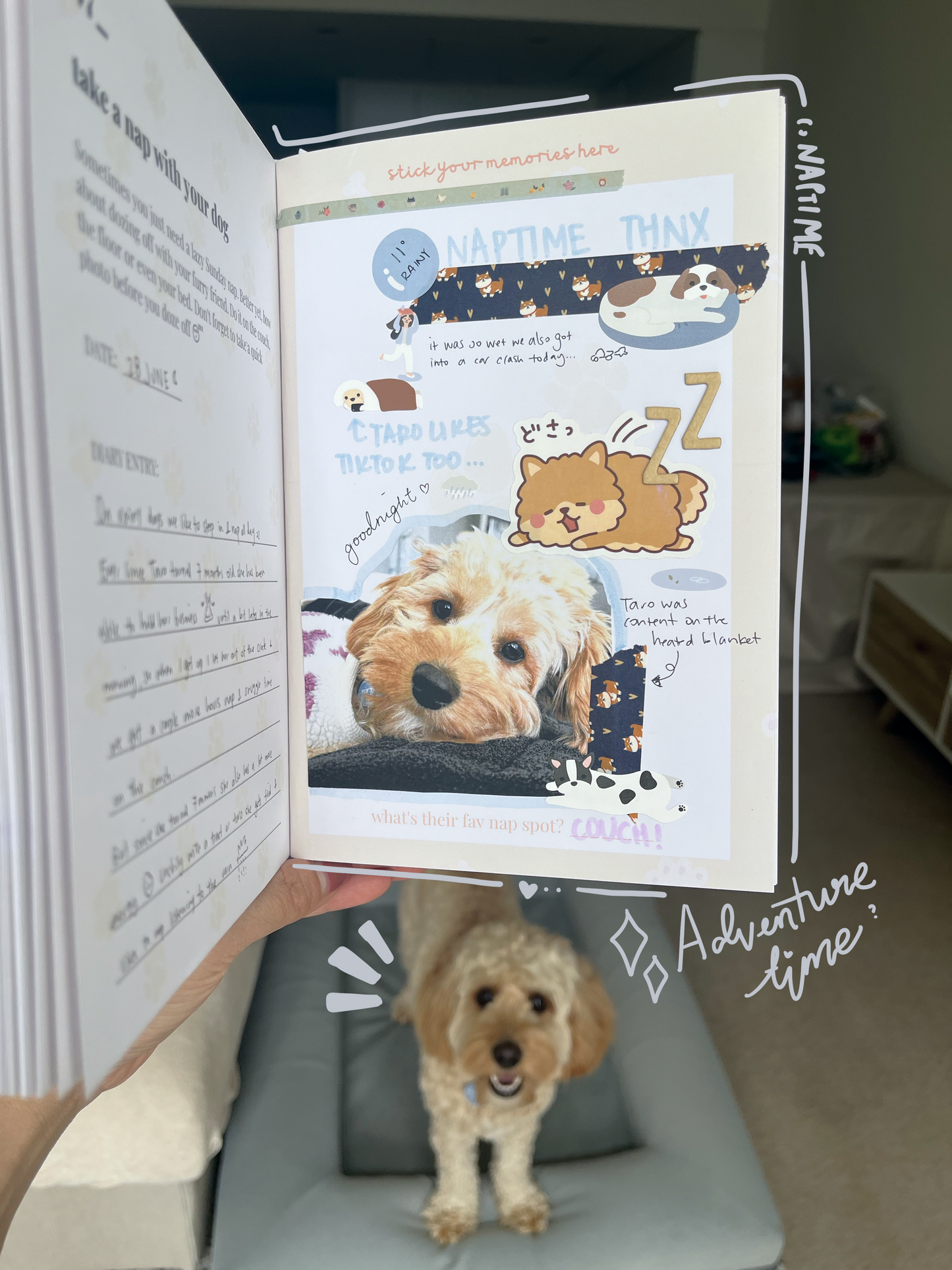 MyPawPrints - Dog Keepsake, Activity Book and Album