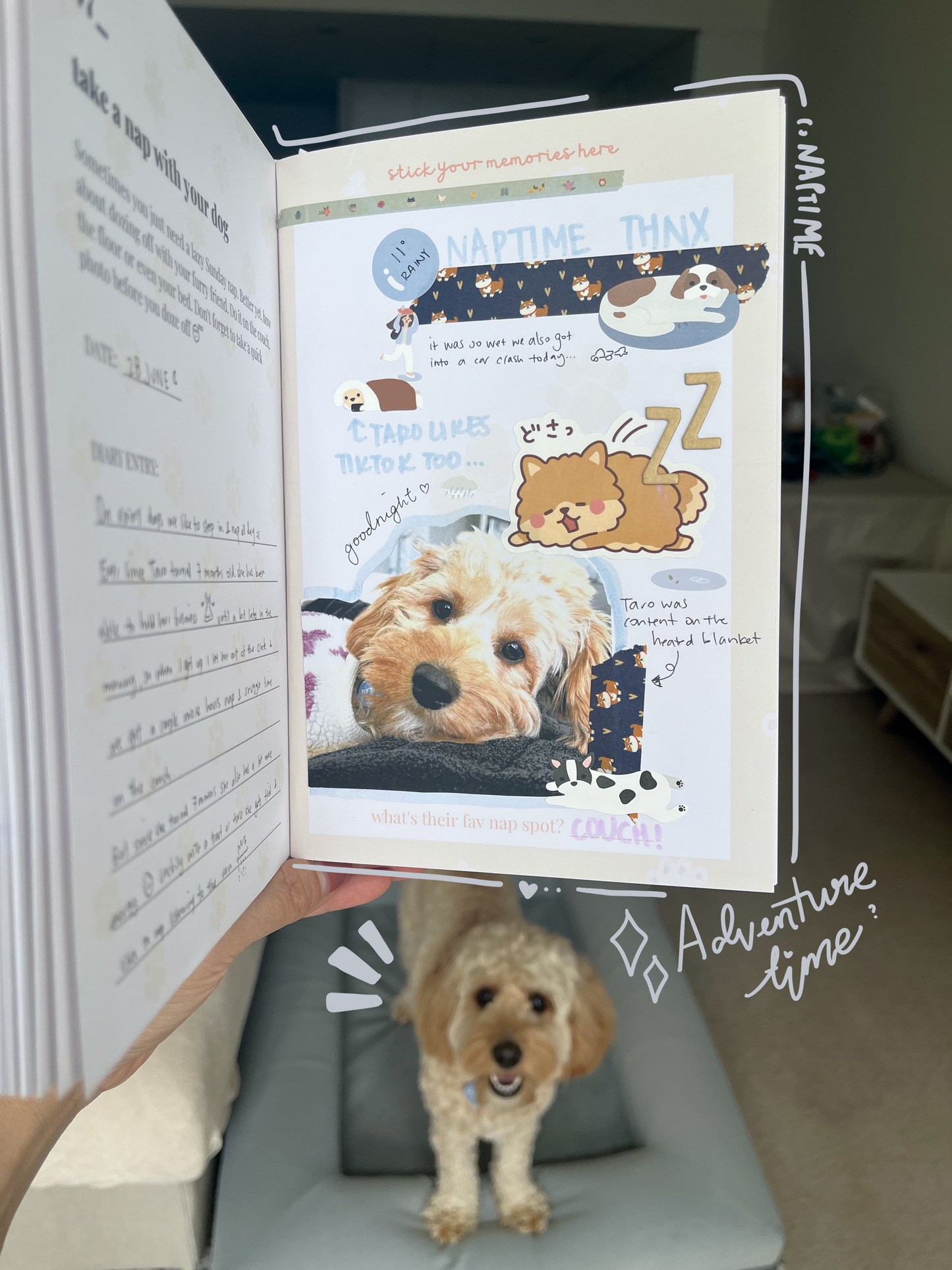 My Paw Prints - Dog Keepsake, Activity Book and Album